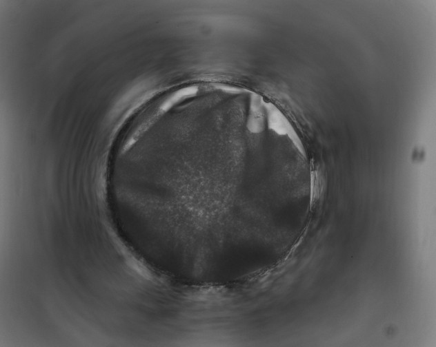 X0000101710243200808071230
