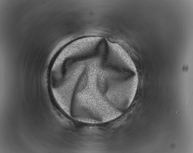 X0000101710244200808071230