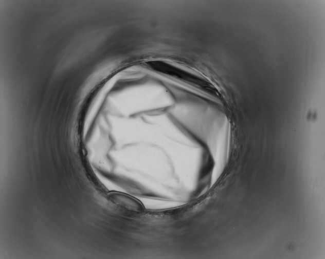 X0000101710245200808071230
