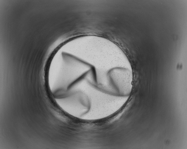 X0000101710246200808071230