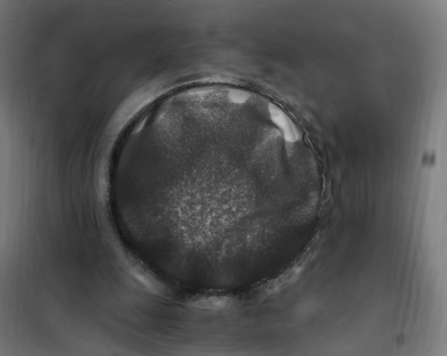 X0000101710247200808071230