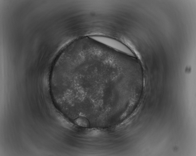 X0000101710249200808071230