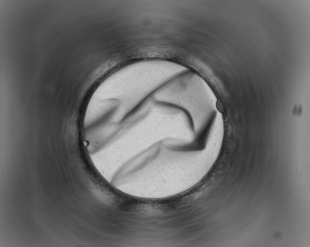 X0000101710250200808071230