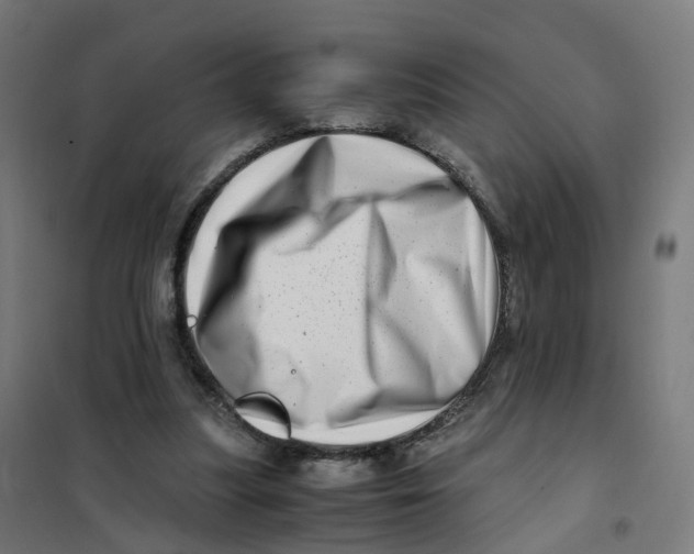 X0000101710251200808071230