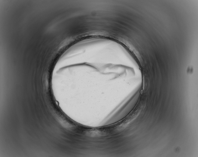 X0000101710253200808071230