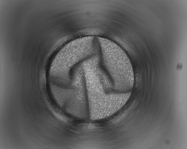 X0000101710254200808071230