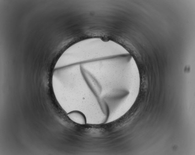 X0000101710255200808071230