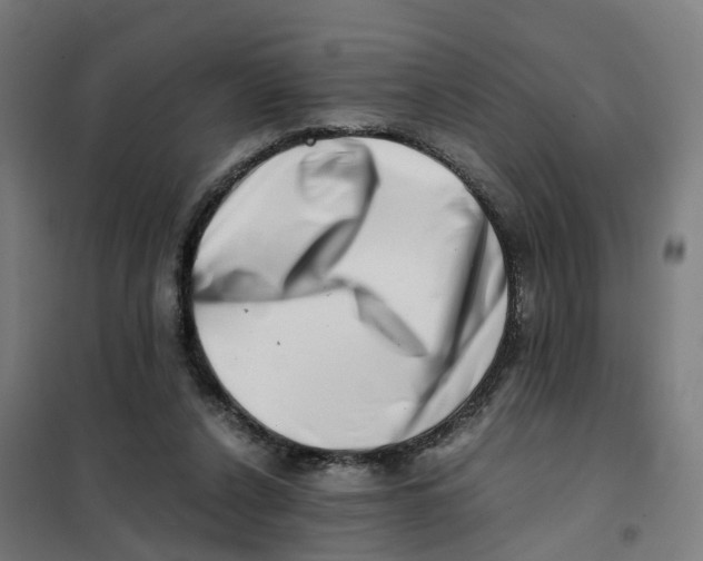 X0000101710256200808071230