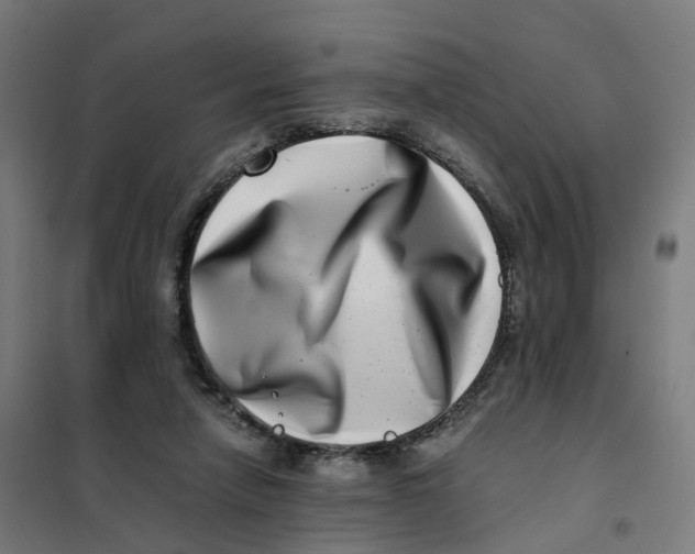 X0000101710258200808071230