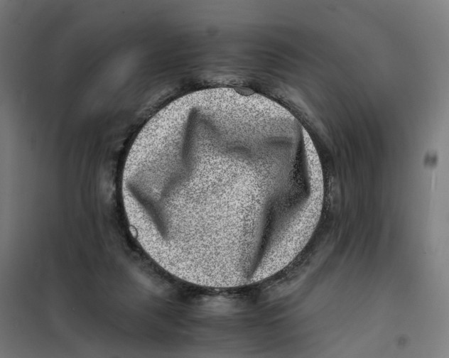 X0000101710259200808071230