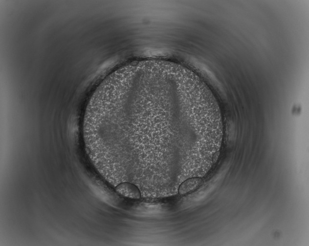 X0000101710260200808071230