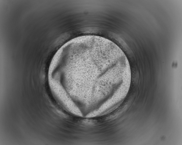 X0000101710261200808071230