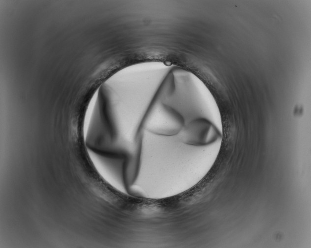 X0000101710262200808071230
