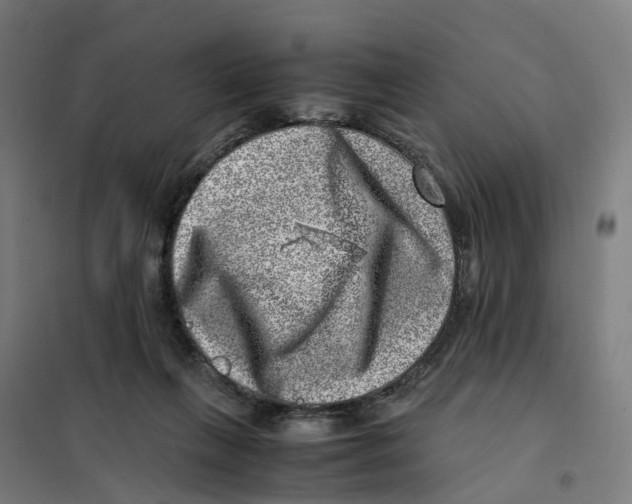 X0000101710263200808071230