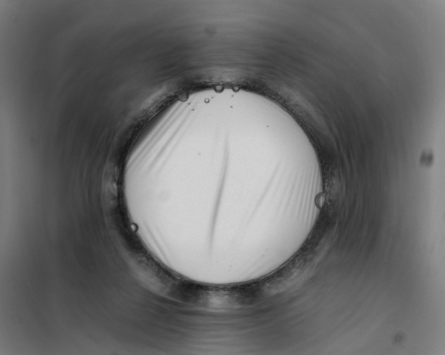 X0000101710264200808071230