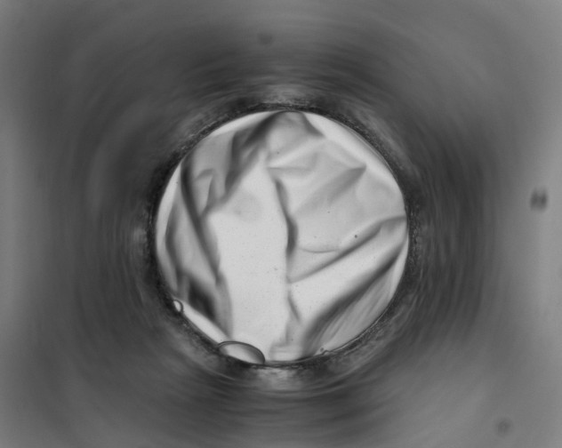 X0000101710265200808071230