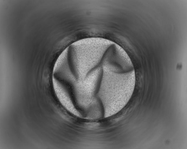 X0000101710266200808071230