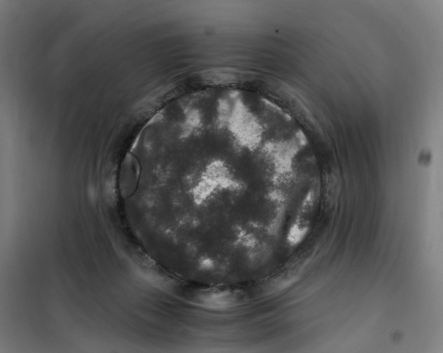 X0000101710267200808071230