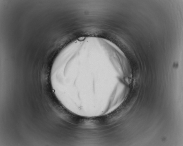 X0000101710268200808071230