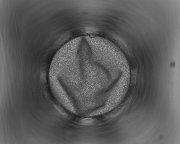 X0000101710269200808071230