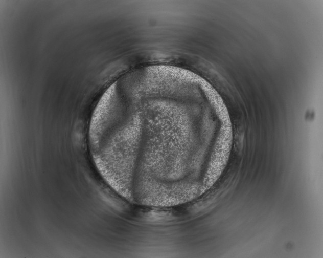 X0000101710270200808071230