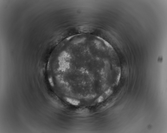X0000101710271200808071230
