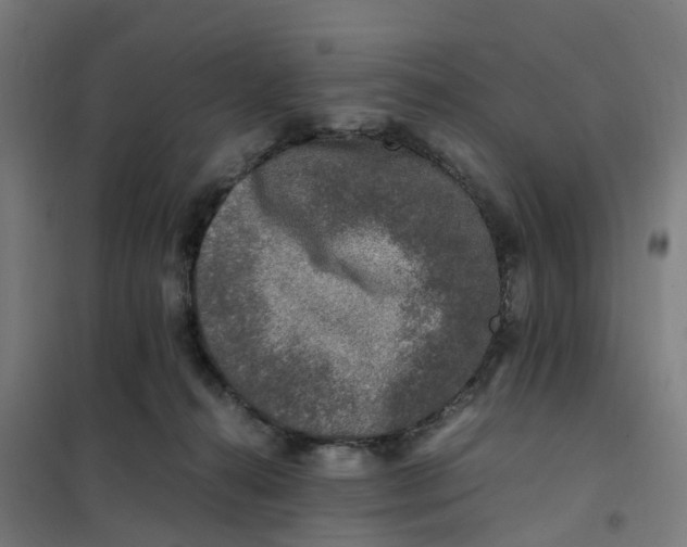 X0000101710272200808071230