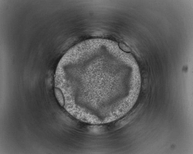 X0000101710273200808071230