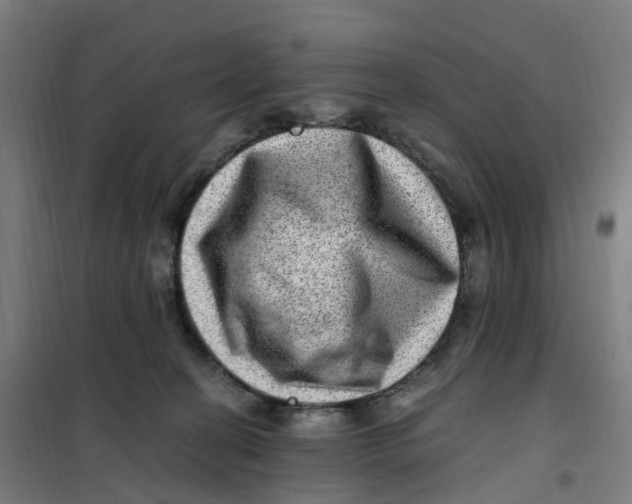 X0000101710274200808071230