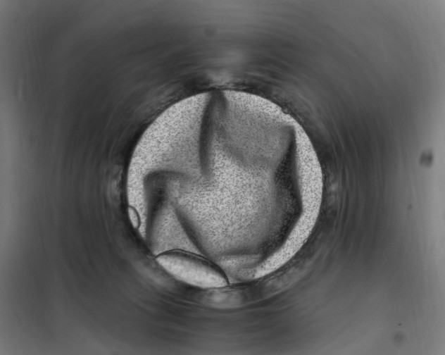X0000101710275200808071230