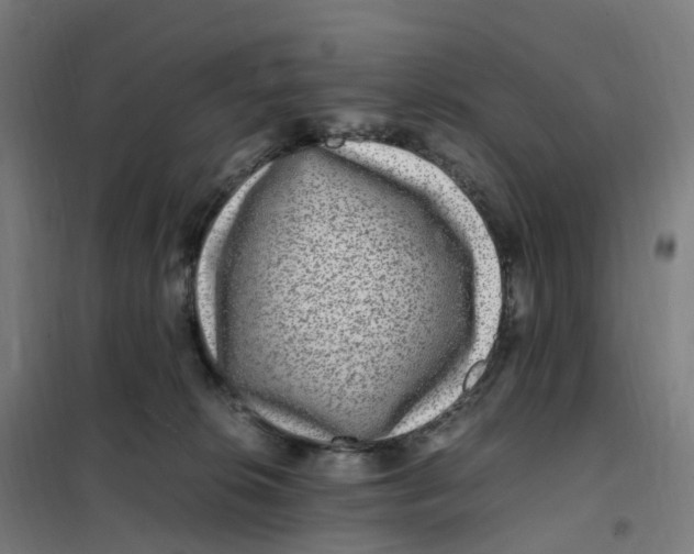 X0000101710276200808071230