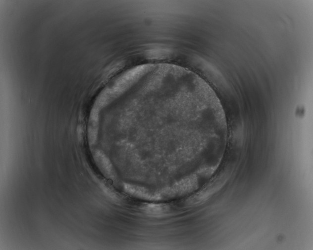 X0000101710277200808071230