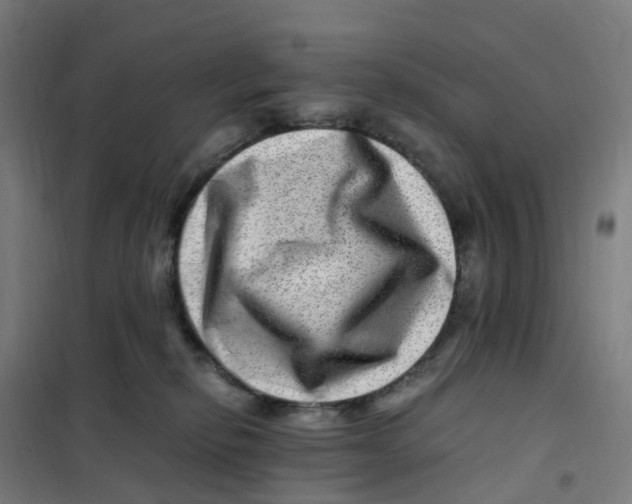 X0000101710278200808071230