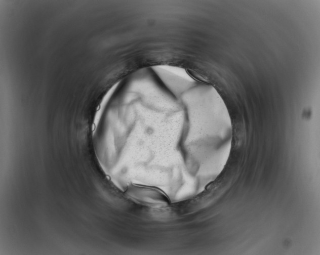 X0000101710279200808071230