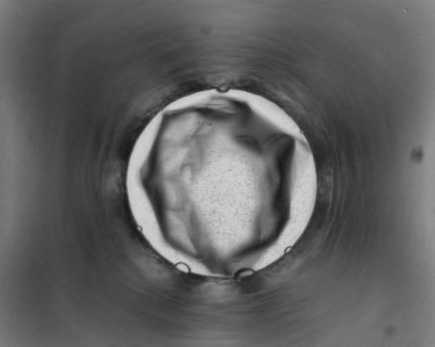X0000101710280200808071230