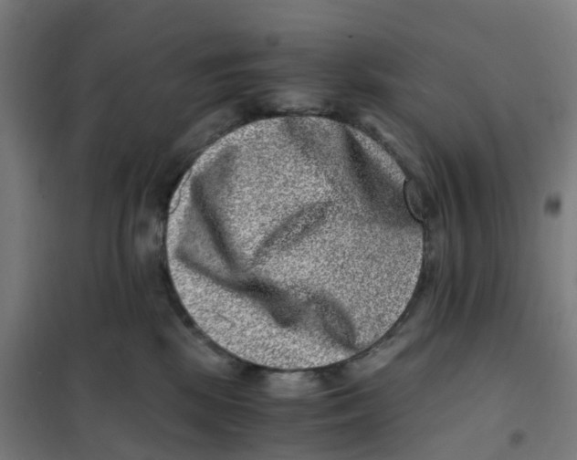 X0000101710281200808071230