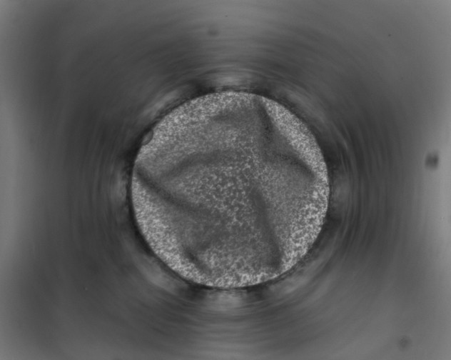X0000101710282200808071230