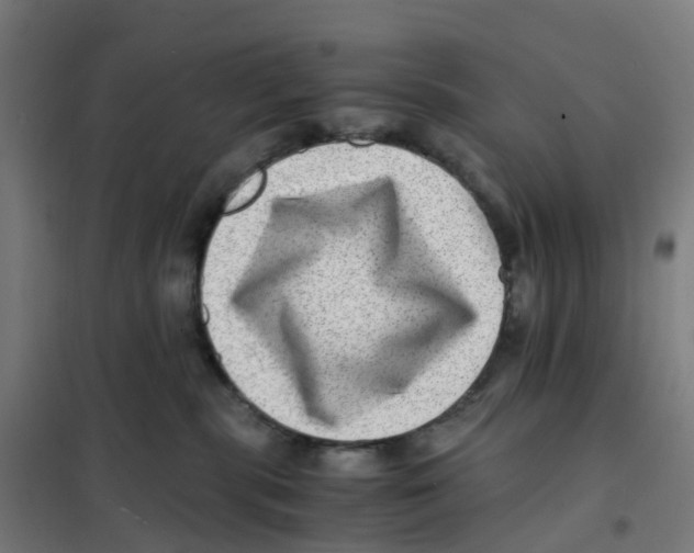 X0000101710283200808071230