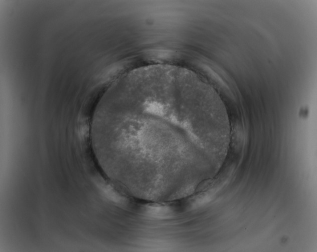 X0000101710284200808071230