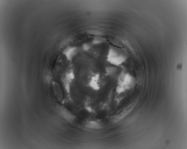 X0000101710285200808071230
