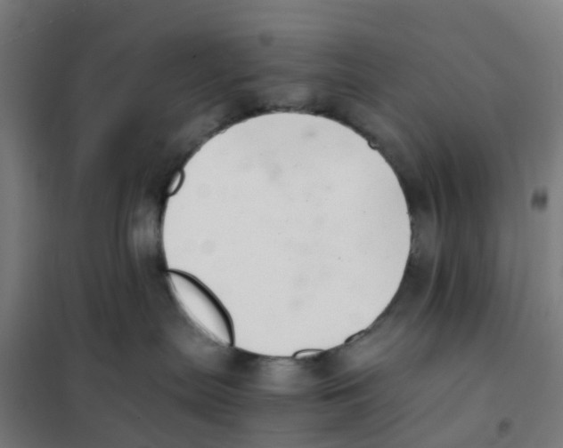 X0000101710287200808071230