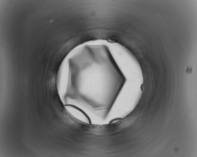 X0000101710288200808071230