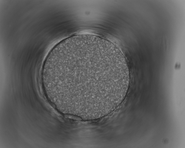 X0000101710289200808071230