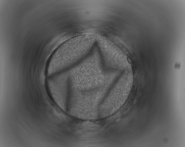 X0000101710290200808071230