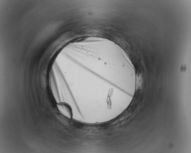 X0000101710291200808071230
