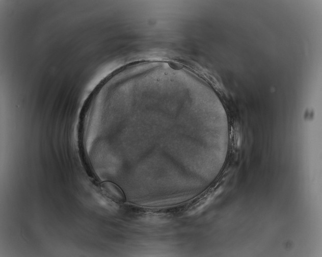 X0000101710292200808071230