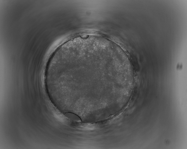 X0000101710293200808071230