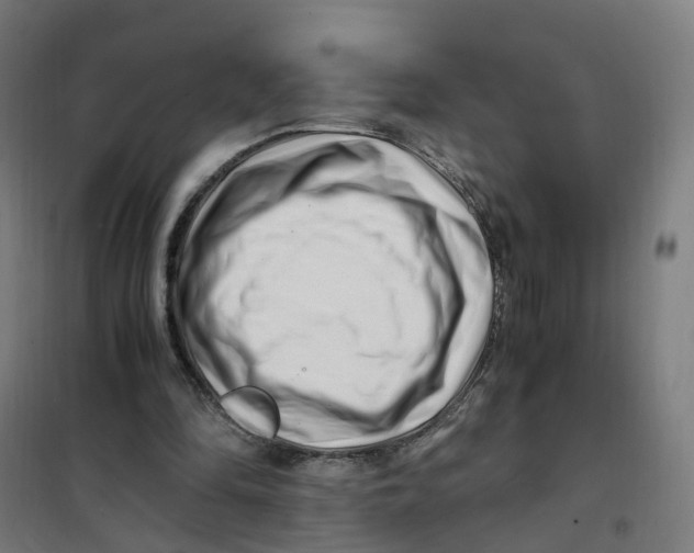 X0000101710294200808071230