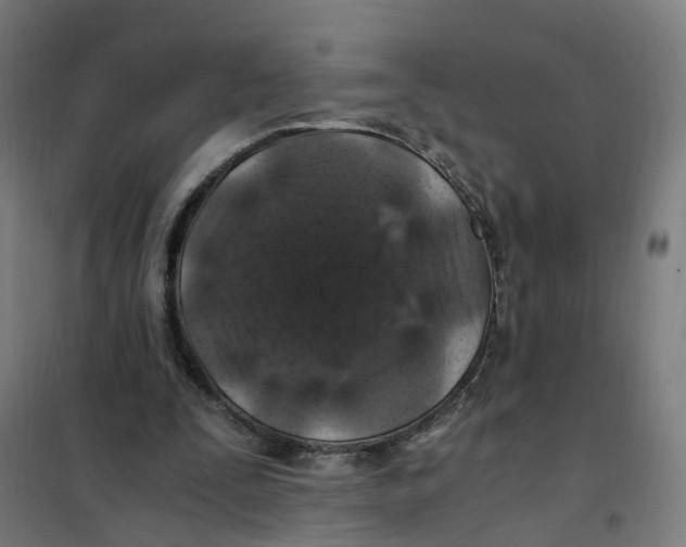 X0000101710295200808071230