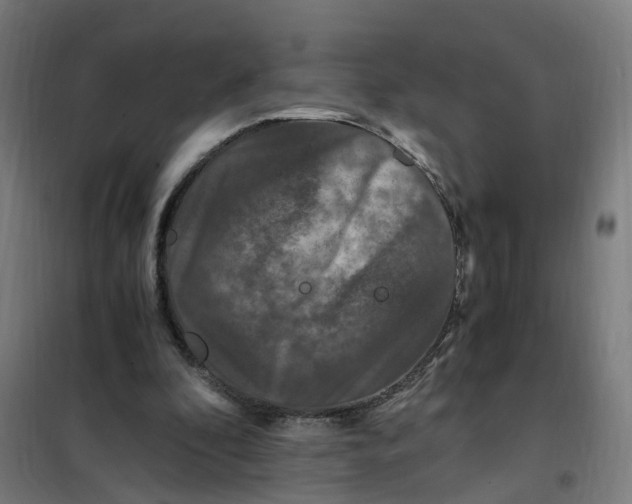 X0000101710296200808071230